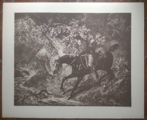 Stampe riproduzioni cavallo - riproduzioni, (3