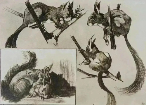 Mathurin meheut lithografia - meheut,